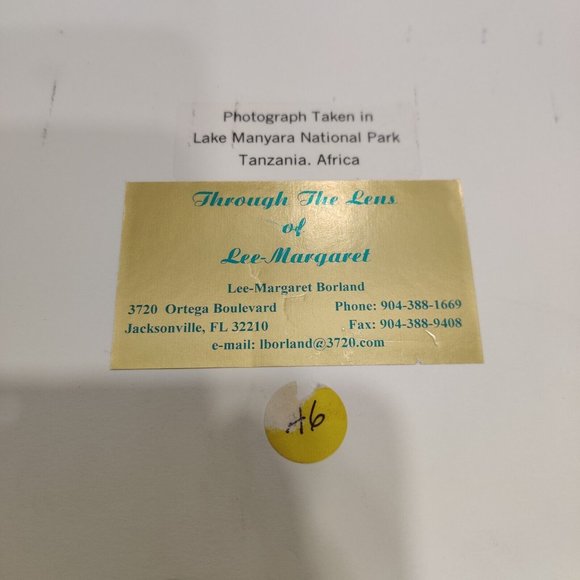 Hippopotamus Photography Lake Manyara National Park Tanzania Africa Lee-Margaret - Picture 13 of 15